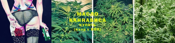 прущие грибы Липки