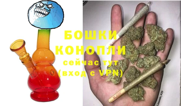 крисы Магадан
