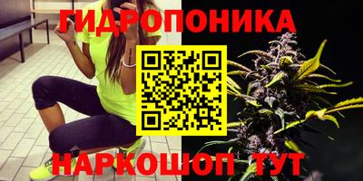 apvp Краснознаменск