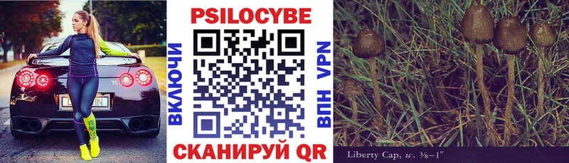 blacksprut ТОР  Евпатория  Псилоцибиновые грибы Psilocybe 